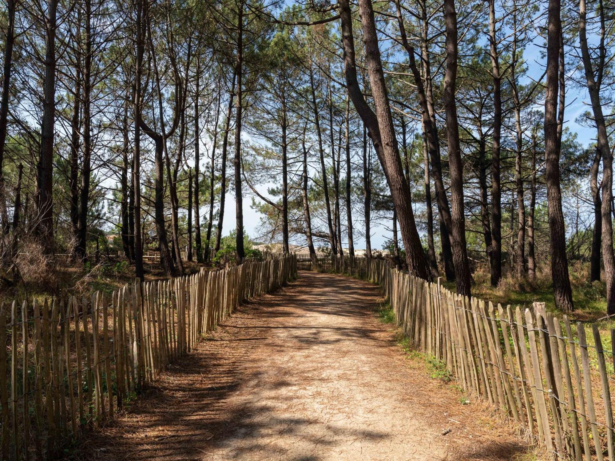 Biscarrosse Plage - Studio T1 Bis En Bord De Mer - Menage Inclus - Fr-1-319-185 Bagian luar foto